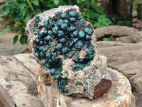 Natural Ball Malachite On Quartz Matrix Specimen x 1 From Kambove, Congo