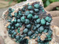 Natural Ball Malachite On Quartz Matrix Specimen x 1 From Kambove, Congo