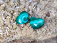 Polished Banded Flower Malachite Pendant Hearts - Sold Per Item - From Congo