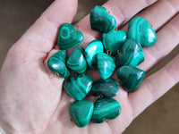 Polished Banded Flower Malachite Pendant Hearts - Sold Per Item - From Congo