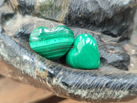 Polished Banded Flower Malachite Pendant Hearts - Sold Per Item - From Congo