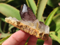 Natural Window Amethyst Quartz Clusters x 6 From Brandberg, Namibia