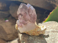 Natural Window Amethyst Quartz Clusters x 6 From Brandberg, Namibia