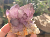 Natural Window Amethyst Quartz Clusters x 6 From Brandberg, Namibia