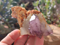 Natural Window Amethyst Quartz Clusters x 6 From Brandberg, Namibia