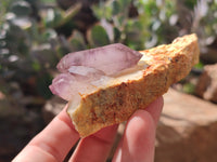 Natural Window Amethyst Quartz Clusters x 6 From Brandberg, Namibia