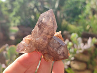 Natural Window Amethyst Quartz Clusters x 6 From Brandberg, Namibia