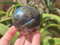 Polished Labradorite Spheres x 6 From Tulear, Madagascar