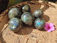 Polished Labradorite Spheres x 6 From Tulear, Madagascar