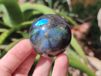 Polished Labradorite Spheres x 6 From Tulear, Madagascar