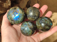 Polished Labradorite Spheres x 6 From Tulear, Madagascar