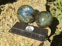 Polished Labradorite Spheres x 6 From Tulear, Madagascar