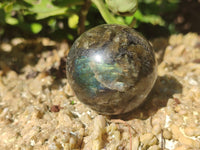 Polished Labradorite Spheres x 6 From Tulear, Madagascar