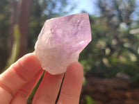 Natural Jacaranda Amethyst Quartz Crystals x 12 from Mumbwa, Zambia