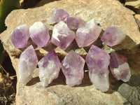 Natural Jacaranda Amethyst Quartz Crystals x 12 from Mumbwa, Zambia