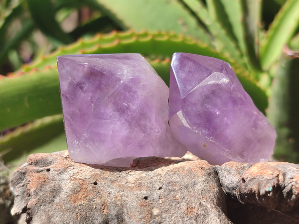 Natural Jacaranda Amethyst Quartz Crystals x 12 from Mumbwa, Zambia