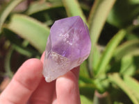 Natural Jacaranda Amethyst Quartz Crystals x 12 from Mumbwa, Zambia