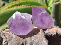 Natural Jacaranda Amethyst Quartz Crystals x 12 from Mumbwa, Zambia