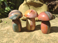 Polished Polychrome Jasper Mushrooms x 6 From Mahajanga, Madagascar