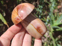 Polished Polychrome Jasper Mushrooms x 6 From Mahajanga, Madagascar