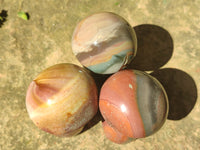 Polished Polychrome Jasper Mushrooms x 6 From Mahajanga, Madagascar