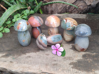 Polished Polychrome Jasper Mushrooms x 6 From Mahajanga, Madagascar