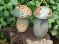 Polished Polychrome Jasper Mushrooms x 6 From Mahajanga, Madagascar