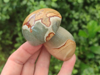 Polished Polychrome Jasper Mushrooms x 6 From Mahajanga, Madagascar