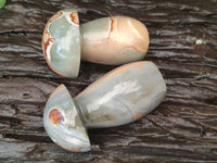 Polished Polychrome Jasper Mushrooms x 6 From Mahajanga, Madagascar