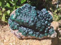 Natural Ball Malachite On Dolomite Matrix Specimen x 1 From Kambove, Congo