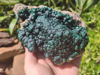 Natural Ball Malachite On Dolomite Matrix Specimen x 1 From Kambove, Congo