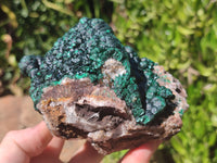 Natural Ball Malachite On Dolomite Matrix Specimen x 1 From Kambove, Congo