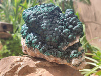 Natural Ball Malachite On Dolomite Matrix Specimen x 1 From Kambove, Congo