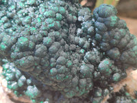 Natural Ball Malachite On Dolomite Matrix Specimen x 1 From Kambove, Congo