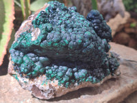 Natural Ball Malachite On Dolomite Matrix Specimen x 1 From Kambove, Congo