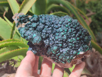 Natural Ball Malachite On Dolomite Matrix Specimen x 1 From Kambove, Congo