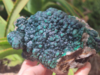 Natural Ball Malachite On Dolomite Matrix Specimen x 1 From Kambove, Congo