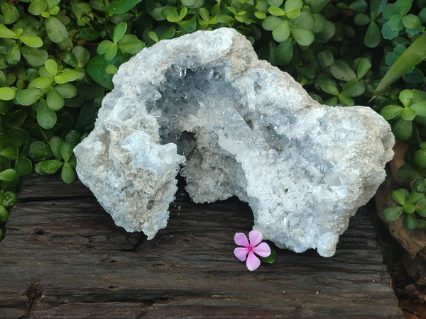 Natural Celestite Geode Specimen x 1 From Sakoany, Madagascar