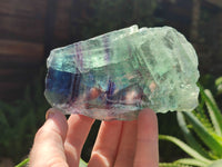 Polished On One Side Watermelon Fluorite x 6 From Uis, Namibia