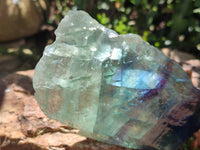 Polished On One Side Watermelon Fluorite x 6 From Uis, Namibia