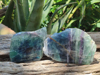 Polished On One Side Watermelon Fluorite x 6 From Uis, Namibia