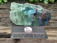 Polished On One Side Watermelon Fluorite x 6 From Uis, Namibia