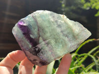 Polished On One Side Watermelon Fluorite x 6 From Uis, Namibia