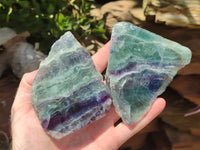 Polished On One Side Watermelon Fluorite x 6 From Uis, Namibia