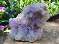 Natural Jacaranda Amethyst Quartz Clusters x 2 from Mumbwa, Zambia