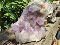 Natural Jacaranda Amethyst Quartz Clusters x 2 from Mumbwa, Zambia