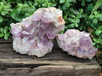 Natural Jacaranda Amethyst Quartz Clusters x 2 from Mumbwa, Zambia