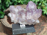 Natural Jacaranda Amethyst Quartz Clusters x 2 from Mumbwa, Zambia