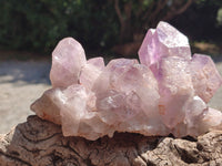 Natural Jacaranda Amethyst Quartz Clusters x 2 from Mumbwa, Zambia