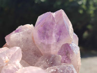 Natural Jacaranda Amethyst Quartz Clusters x 2 from Mumbwa, Zambia